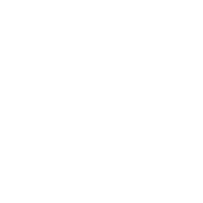 logo .png